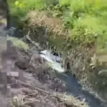 У Хмельницькому в річці стався масовий мор риби