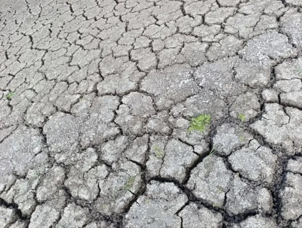 Маріуполь на межі водної катастрофи: Старокримське водосховище майже висохло