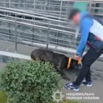 Чоловік побив собаку на вулиці в Києві: йому загрожує штраф і конфіскація…