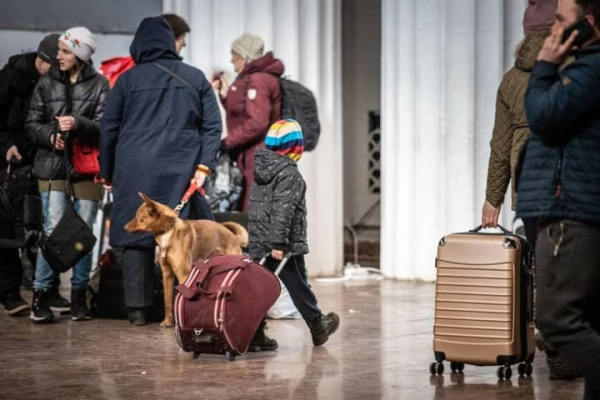 В Україні зареєстровано 3,7 мільйона внутрішньо переміщених осіб