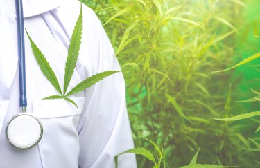 канабіс коноплі лікар медицина
