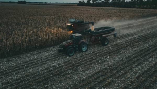 Зерно з окупації: ребрендинг під Росію та Білорусь