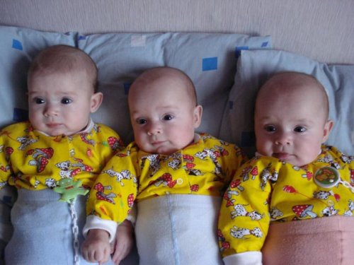 Народження трійнят