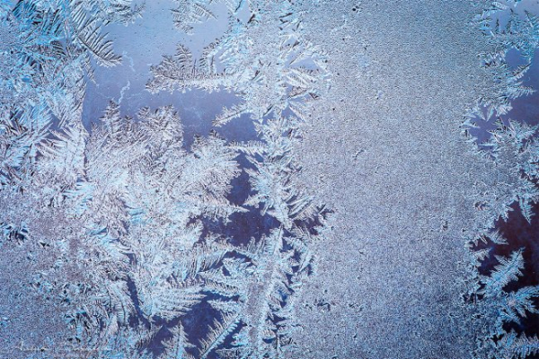 Тимофіїв день, Тимофій – напівзимник