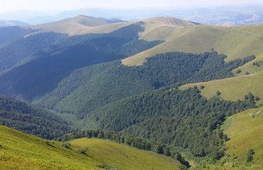 АРМА відмінило реалізацію ділянок на Боржаві з огляду на загрозу повернення майна…