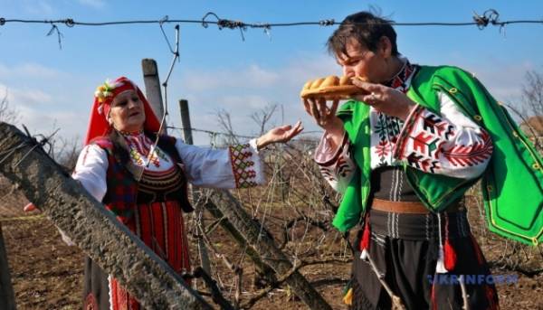 Виноробне свято: Трифонів день на Бессарабщині