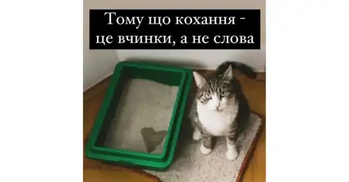 Гумор і сміховини тижня до Дня святого Валентина: Все, що потрібно –…
