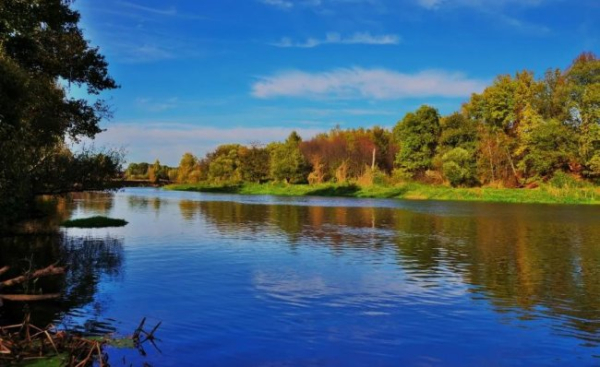 Міжнародний день рік