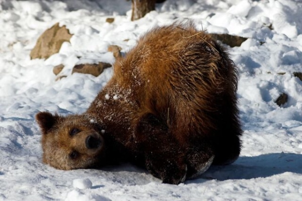 Євтропіїв день