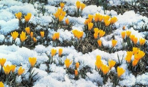 Які бувають весняні прикмети?