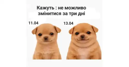 Сміховинні історії та інтернет-приколи тижня: старт кампанії “Стрункість до літа”!
