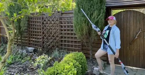 З палаючої землі до Харкова: переїзд вовчанського вічнозеленого саду.