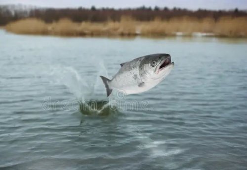 Водостат – іменини Водяного