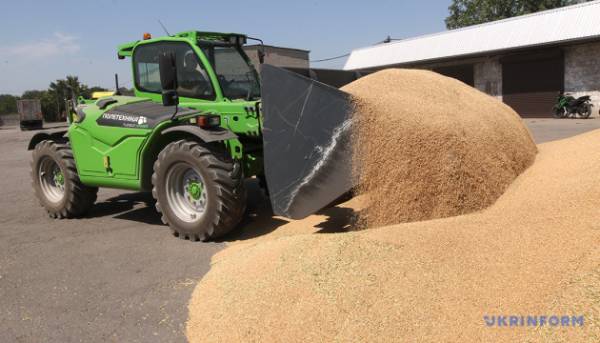 Аграрний сектор України продемонструє підйом виробництва, за оцінками експертів.