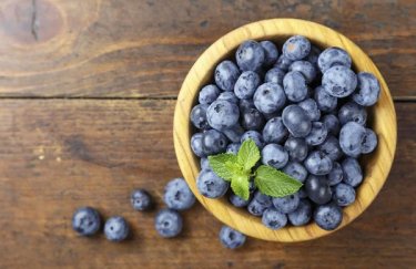 Українська чорниця потрапляє до Євросоюзу завдяки платформі UA GROWER