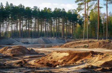 Львівщина: судова тяжба загрожує лісовій забудові на 13 гектарах.
