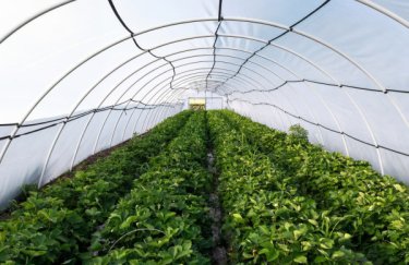 Сільськогосподарський бізнес за ціною квартири: на Київщині виставлено на продаж підприємство на&hellip;