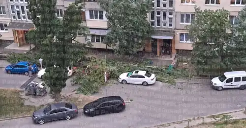 Негода в Києві та на Київщині спричинила проблеми з електропостачанням, а сильний&hellip;