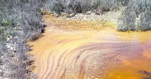 На Одещині солоні водойми набули насиченого бурштинового відтінку