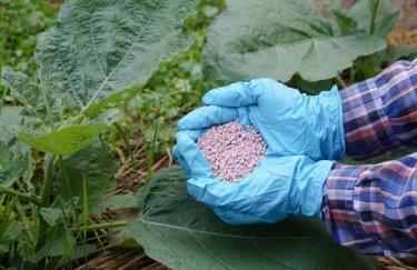 Вартість зернових падає, слідуючи за здешевленням мінеральних добрив