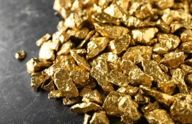 Сын Патрушева получил одно из крупнейших в России месторождений золота — Delo.ua