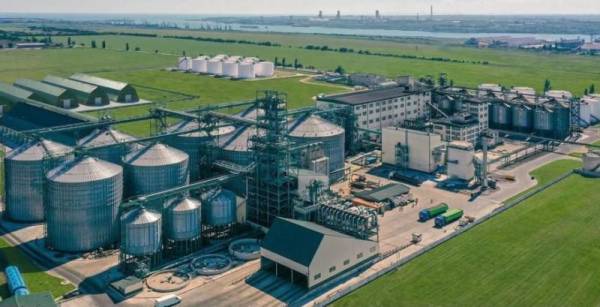 Allseeds, один з провідних виробників олії, зупиняє свою діяльність в Україні — КУРКУЛЬ