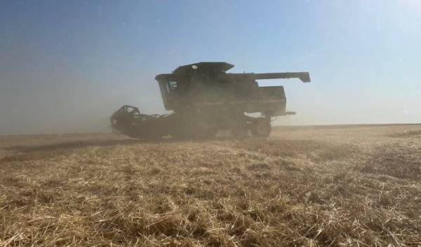 Збір зернових на Херсонщині наразі сягає понад 5 т/га, проте внаслідок ударів…