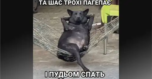 Гуморески та інтернет-жарти тижня: місця в бомбосховищі замовляємо завчасно та російський снаряд у Польщі