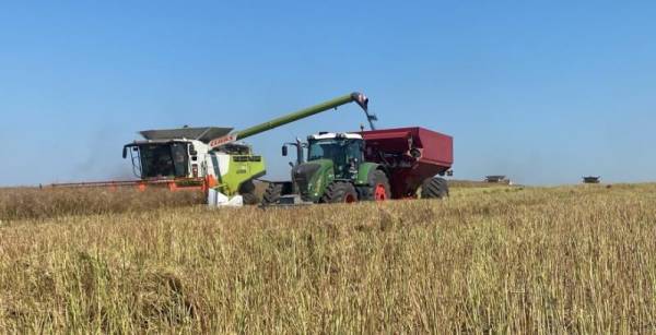 Нові правила вивезення сої та ріпаку не підходять для кооперативів, кажуть фермери — АГРО