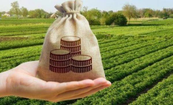Фінансів міністерство: податкова служба назвала території з найбільшою платою за землю