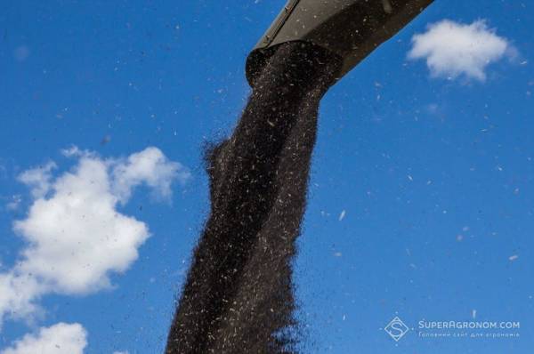 Вартість ріпаку та пшениці на альтернативних шляхах експорту — SuperAgronom.com