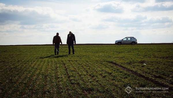 Мобілізація — головний фактор кадрового дефіциту в аграрній сфері, в деяких напрямках…
