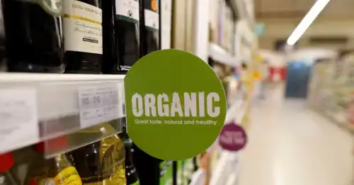Органічні продукти: чому вони коштують дорожче і що насправді означає маркування “органік”