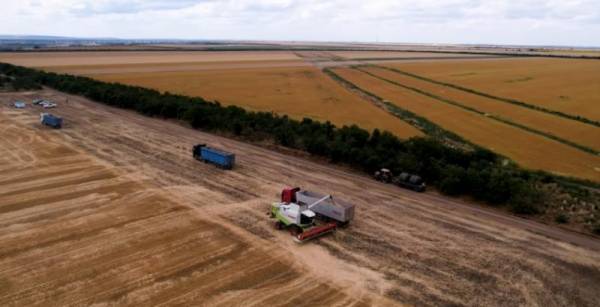 Соняшник та кукурудза відбирають надмірну кількість вологи, наголошує аграрій з Одещини — КУРКУЛЬ