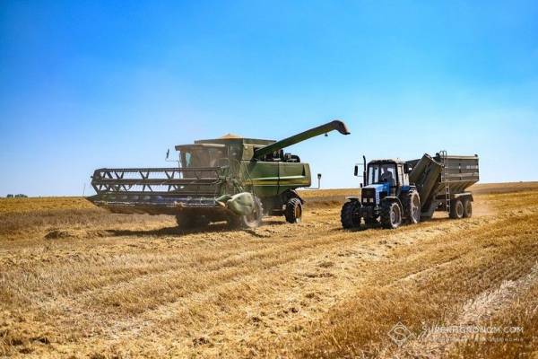Зменшені міжряддя 25 см замість звичайних: як технологічні зміни позначилися на врожаї озимої пшениці в АГРОТРЕЙД — SuperAgronom.com