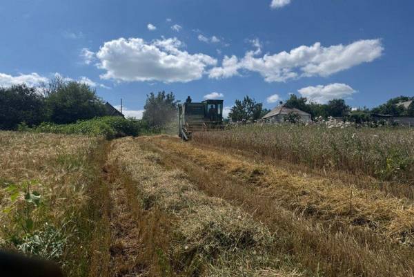 Аграрії Краматорської ОТГ розпочали збір врожаю, незважаючи на небезпеку ворожих атак — SuperAgronom.com