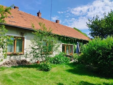 У Чехії спостерігається зниження цін на старі будинки: ось чому