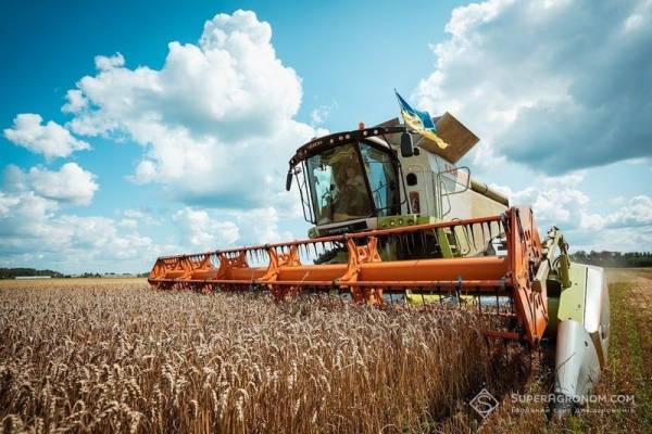 Логістичні труднощі впливають на вартість зерна під час активної жнивної кампанії: що турбує сільгоспвиробників — SuperAgronom.com