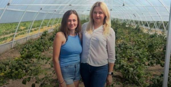 Фермерка з Вінницької області отримала державний грант для вирощування малини у теплицях — КУРКУЛЬ