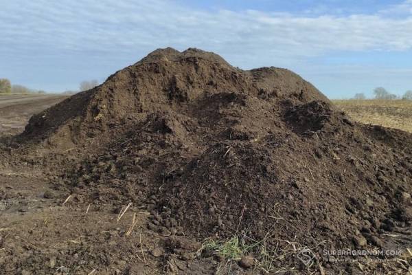 «Скіф» зменшує залежність від мінеральних добрив завдяки використанню гною — SuperAgronom.com