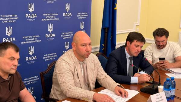Українські сільгоспвиробники отримають 10 мільйонів доларів для зберігання зерна: хто профінансує