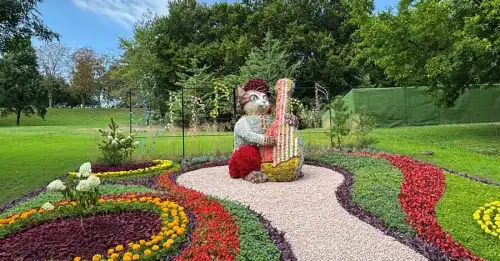 10 гігантських котів, виготовлених з квітів, прикрасили Співоче поле в Києві до Дня Незалежності.