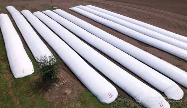 Відкрито приймання запитів на зернові рукави у ДАР — SuperAgronom.com