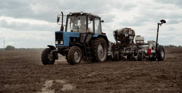 Високі логістичні витрати спонукатимуть аграріїв зменшити посівні площі під озиму пшеницю — Висоцький — КУРКУЛЬ