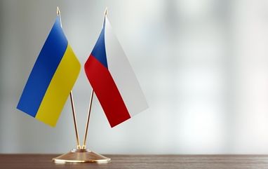 Основна підтримка в Чехії: як її отримати