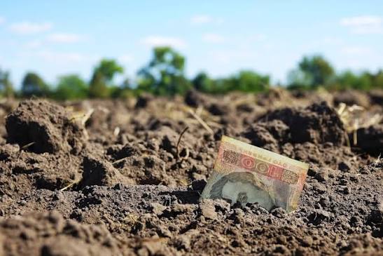 Мінфін: для бізнесу можуть скасувати плату за землю біля зон бойових дій