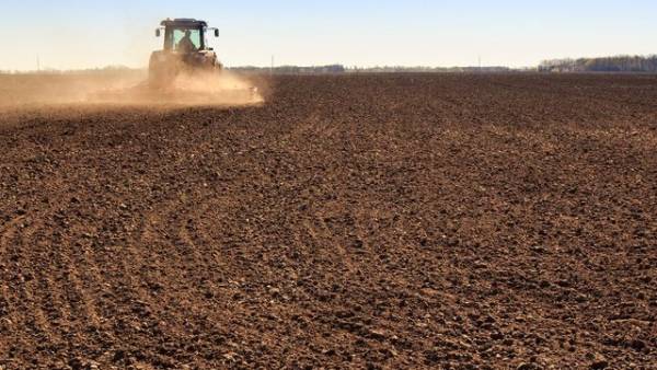 Держава має намір запровадити відшкодування для сільгоспвиробників за втрачену та зіпсовану внаслідок бойових дій рослинність.