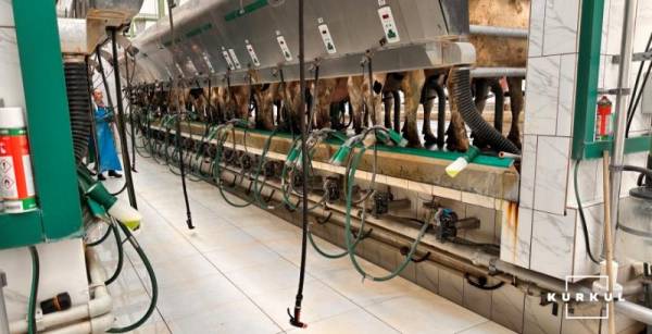 Credit Agricole: Автоматизація — ключовий напрямок у кредитуванні молочних ферм