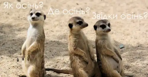 Жарти та меми тижня: Як минуло ваше літо? Погляд