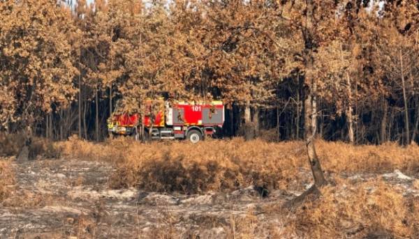 Українські пожежники вирушили до Франції для боротьби з великою лісовою пожежею